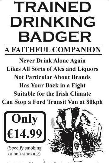 trained drinking badger